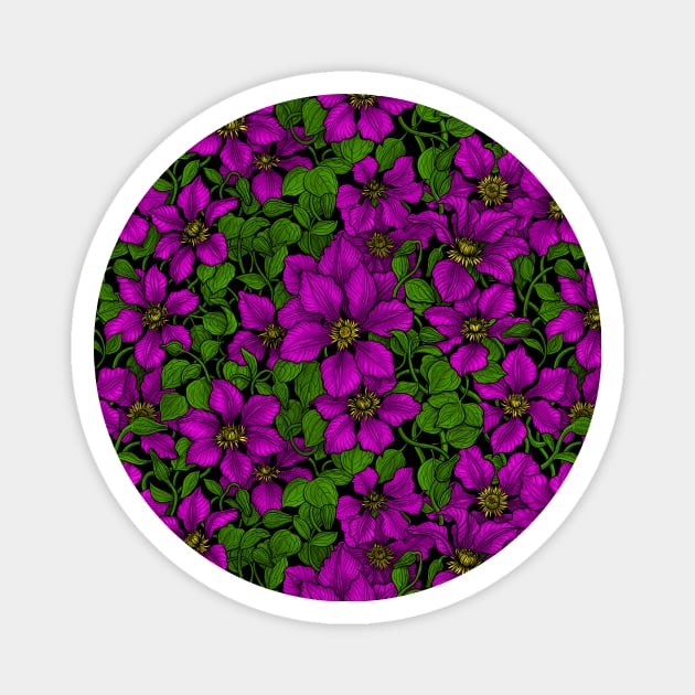 Pink Clematis vine Magnet by katerinamk